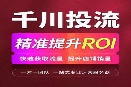 竞价广告案例分析：广告投放成本控制策略